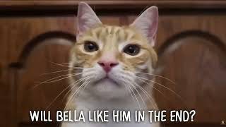 Henry's Theme Song: Credits go to @HalfAsleepChris
