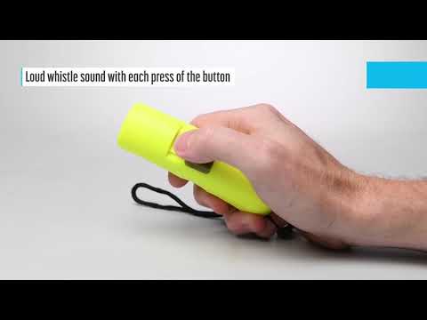 Electronic Whistle