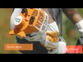 ELETRO MAX   Roçadeira STIHL FS 38