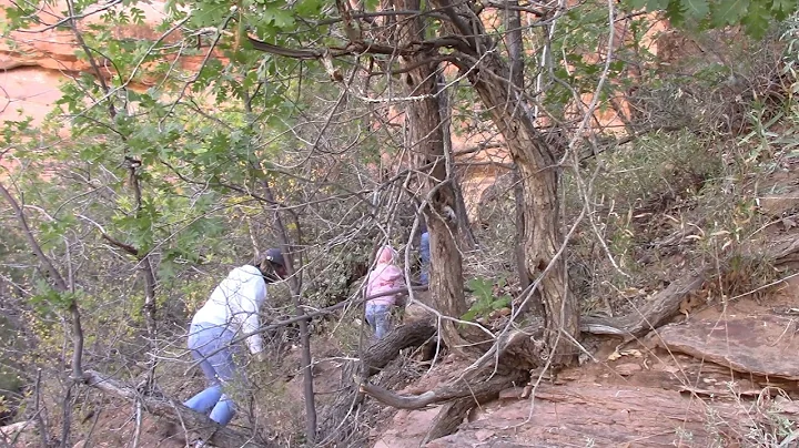 Anasazi (Yellow Man), Petroglyphs, Pictograph Rock Art Site