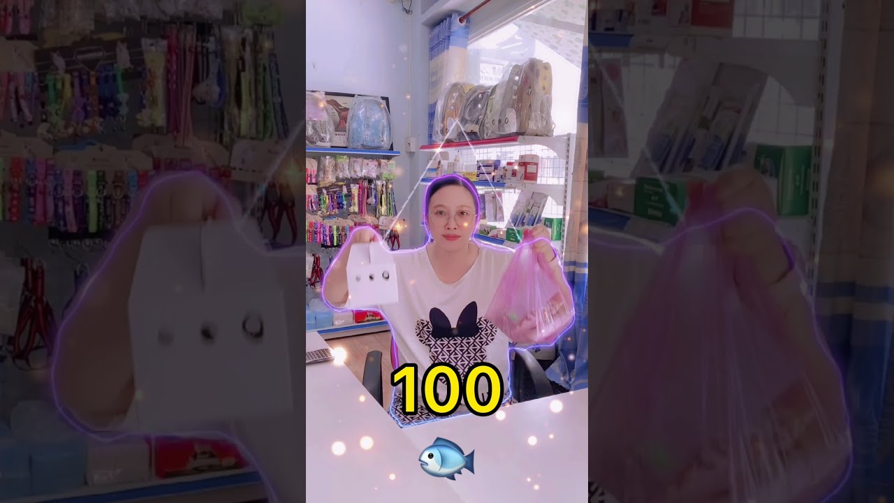 mua hamster ở đâu New Update Combo nuôi Hamster siêu rẻ chỉ với 100k LoHa Pet Shop #shorts