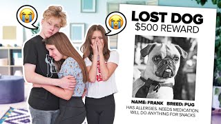 PLEASE HELP FIND FRANK MOVEMENT! Piper And Frank's most adored photo's!