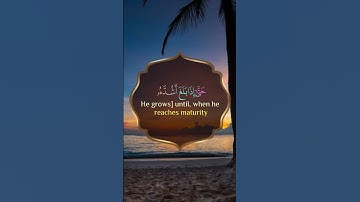 آيات بينات من الذكر الحكيم بصوت يريح القلب ❤ #القرآن_الكريم #اكسبلور #المصحف #المغرب