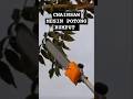 Fungsi Lain Mesin Potong Rumput Jadi Chainsaw #chainsaw #mesinpotongkayu