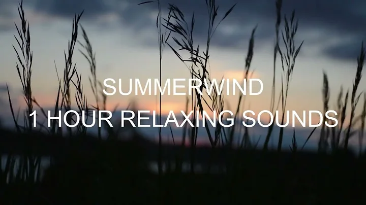 Relaxing Summer Breeze 1 Hour / Sound of Wind, birds and grass rumbling