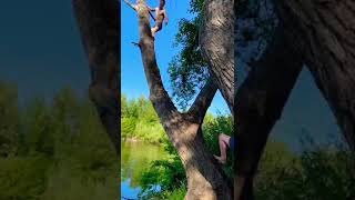 Scream Williams. Stream. Live