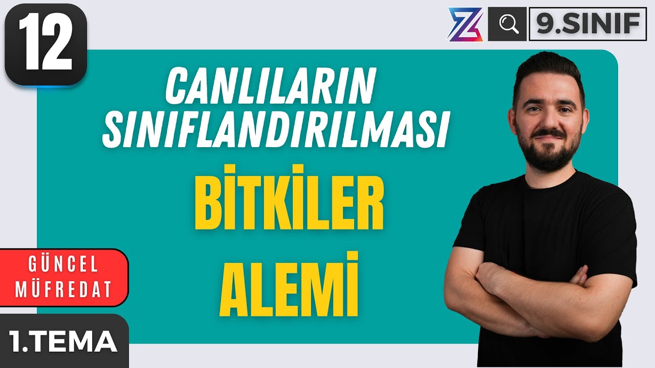 9. SINIF BİYOLOJİ YENİ MÜFREDAT | BİTKİLER ALEMİ | MAARİF MODELİ | 12. DERS