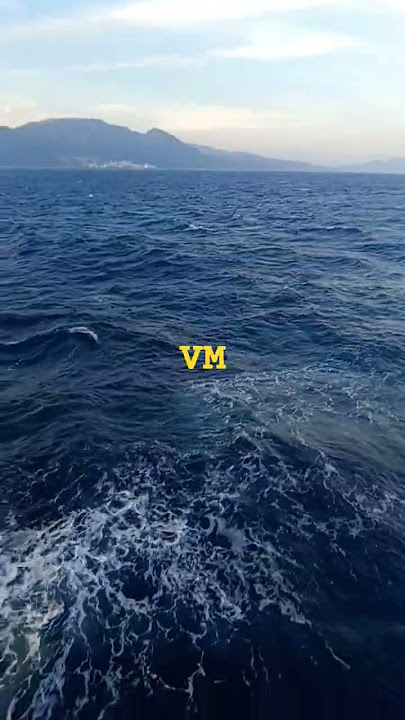 #buhaymarino #seamanstory #vessel