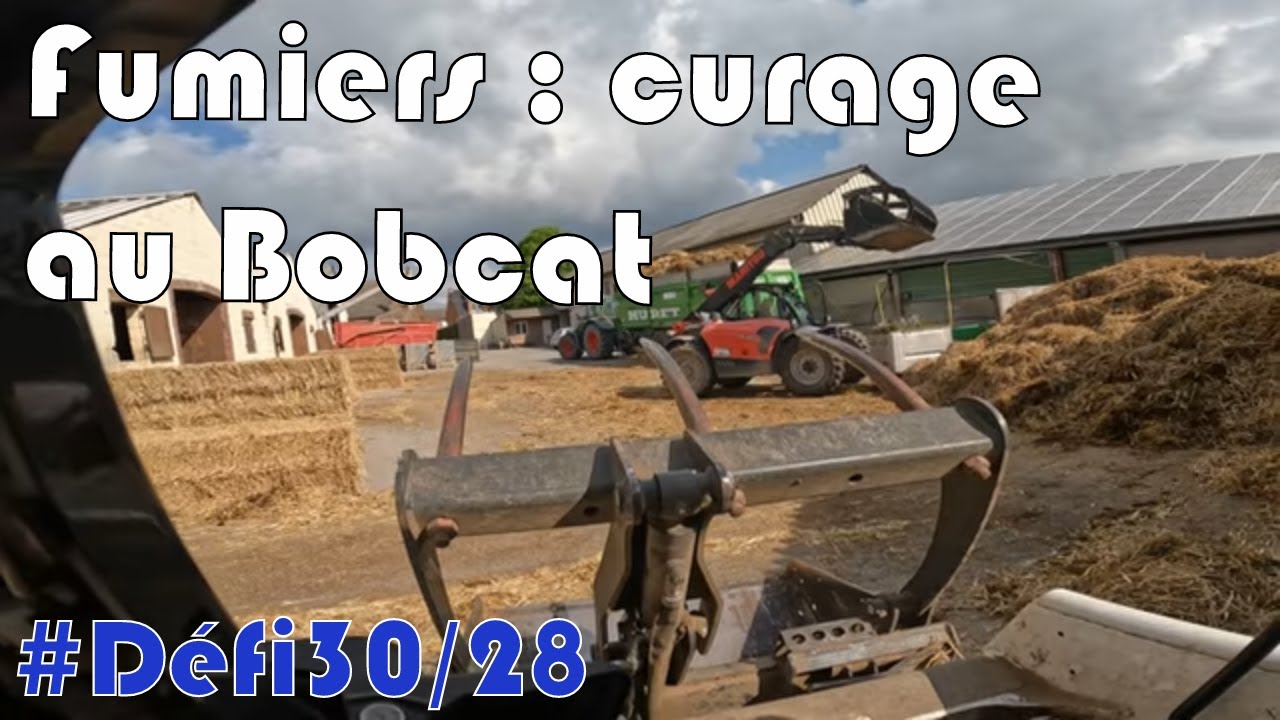 Curage des fumiers avec les Bobcat 