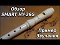 Обзор Smart HY-26G Сопрано пластиковая блокфлейта Пример звучания