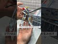 Shorts ガンダム ヴィダール バルバトスルプス 30MM Speedbuild Bandai Gunpla Fighter Shorts ガンダム ヴィダール バルバトスルプス 30MM Speedbuild Bandai Gunpla Fighter