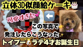 【犬用立体3D似顔絵お誕生日ケーキ