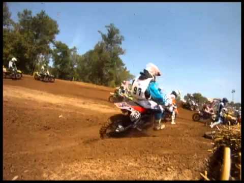 GoPro captures bee at Loretta Lynn's