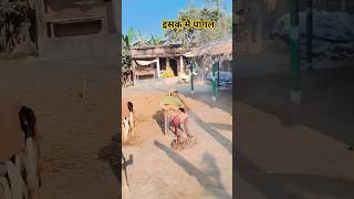 इसक मै पागल हो गया💞#bollywood #hitsong #newtrending