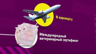 Мосгорсправка | Путешествие с питомцем Мосгорсправка | Путешествие с питомцем