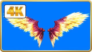 Fire Angel wings in Black Screen loops