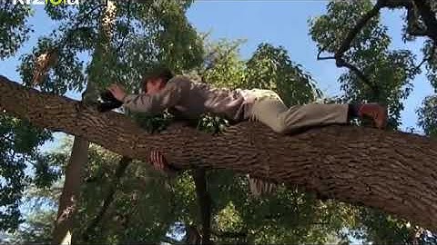 Kizoa Movie - Video - Slideshow Maker: clip