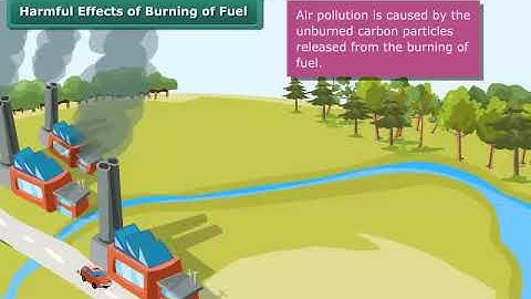 Harmful Effects of Burning of Fuel