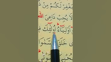 سورة الاحقاف الأية 31 إلى 33 بصوت سعد الغامدي