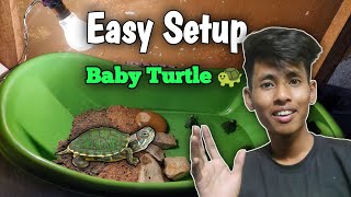 Easy Setup for Baby Red ear slider Turtle  in very Cheap price  | must watch