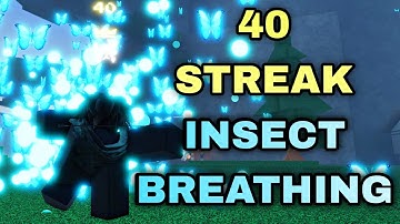 GETTING A 40 STREAK WITH INSECT BREATHING | Rogue Demon