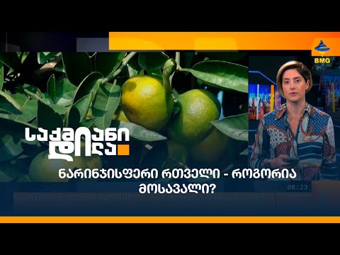 ნარინჯისფერი რთველი - როგორია მოსავალი?