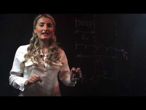 დრეკადობის ძალა, ჰუკის კანონი