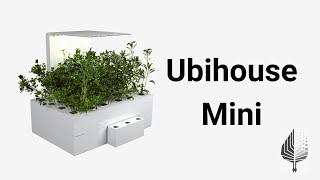 Ubihouse Mini | Aeroponik Tarım | Ubicro