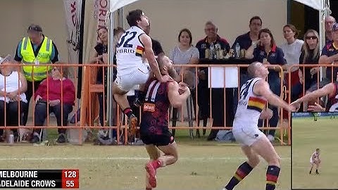 Darcy Fogarty Mark of the Year Nomination