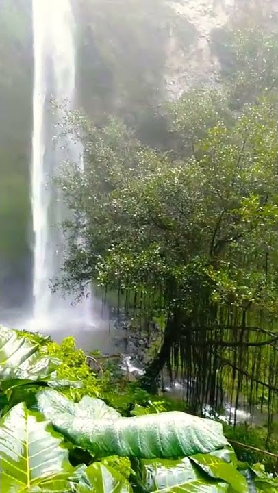 CURUG CIMAHI kab.Bandung Barat.a little journey to kab.bandung barat #curugpelangi #curugcimahi