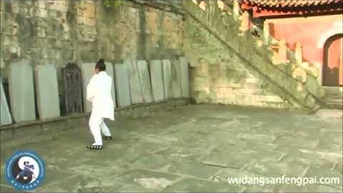 WUDANG Tai Yi Wu Xing Quan by Wudang disciple JiangFei