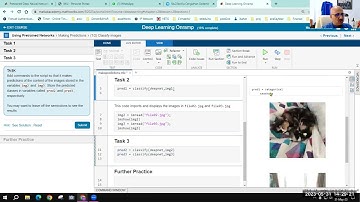 eMuderris, Ödev, Matlab deep learning Onramp, 2. önceden eğitilmiş ağlar, preTrained CNNs