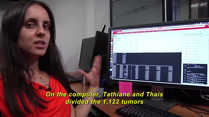 13 - Brain Cancer: DNA Methylation and survival of patients