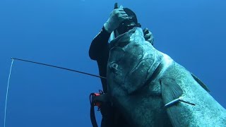 Spearfishing | Cara paling tepat melemahkan salah satu ikan terkuat | Giant Trevally #fishing #sea