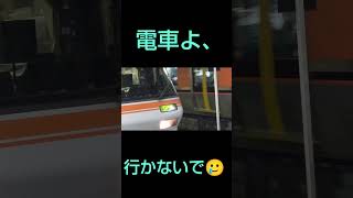 今はもう亡き…？ひだと大阪環状線