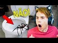 ESSE VÍDEO VAI FAZER VOCÊ DIZER 'NÃO!!!' 😱