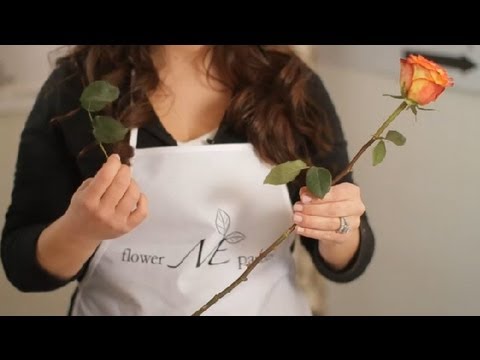 Video: How To Store Cut Roses