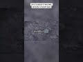 Ricciardo's Insane Monza Overtake