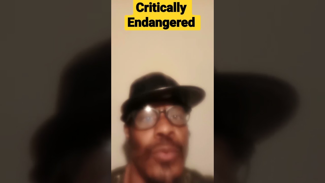 The Near Extinction Of Ume Sami Language | From Norway & Sweden