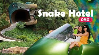 We Stayed in "OMG" Snake Airbnb