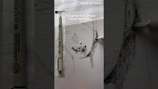Best pen!!! #drawing #originacharacter #hacks #arttips #illustration