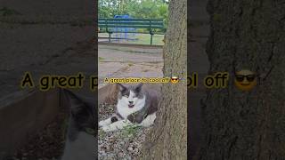 A Great Place To Cool Off And Have Fun