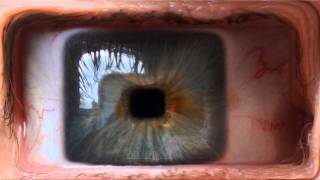 quadratic eye morph 01