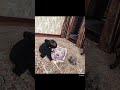 اللهم ارحم اخي دعواتكم له بالرحمه