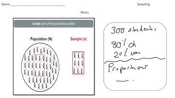 Making Predictions from a Sample | Math Made Easy