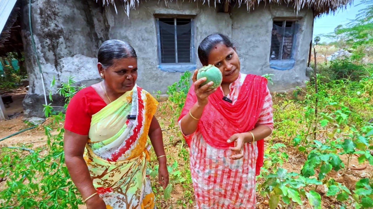 இதுதான் எங்கள் தோட்டம் அழகானது மட்டும்  இல்லை ஆரோக்கியம் நிரம்பியதும்😍 ||  INDIAKUTTY