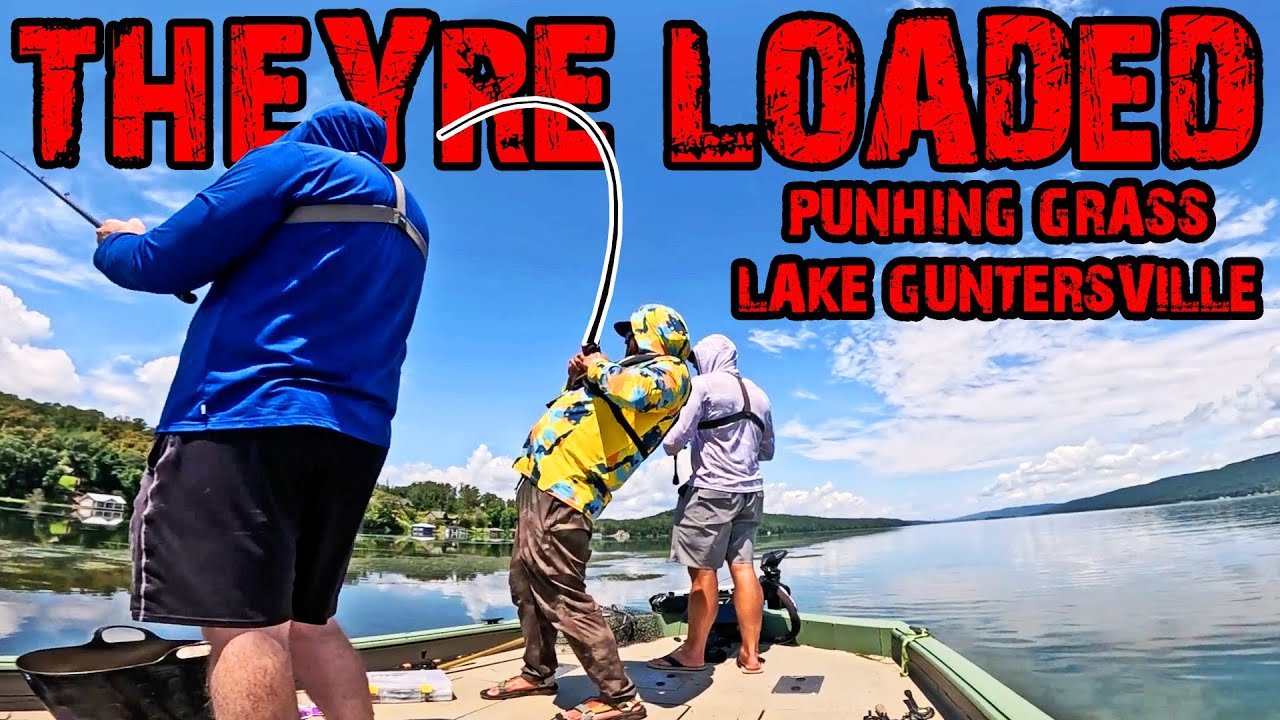 Catching BIG BASS Punching Mats of Grass! Ft. Alex Rudd & Caleb Bell!