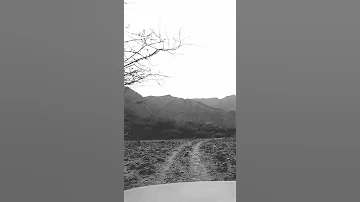 حقوق الإنسان 