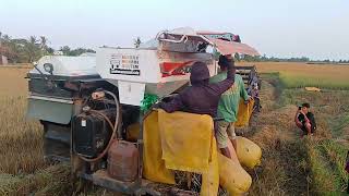 Xem máy cắt dc105 cắt lúa #maycatkubota #farming