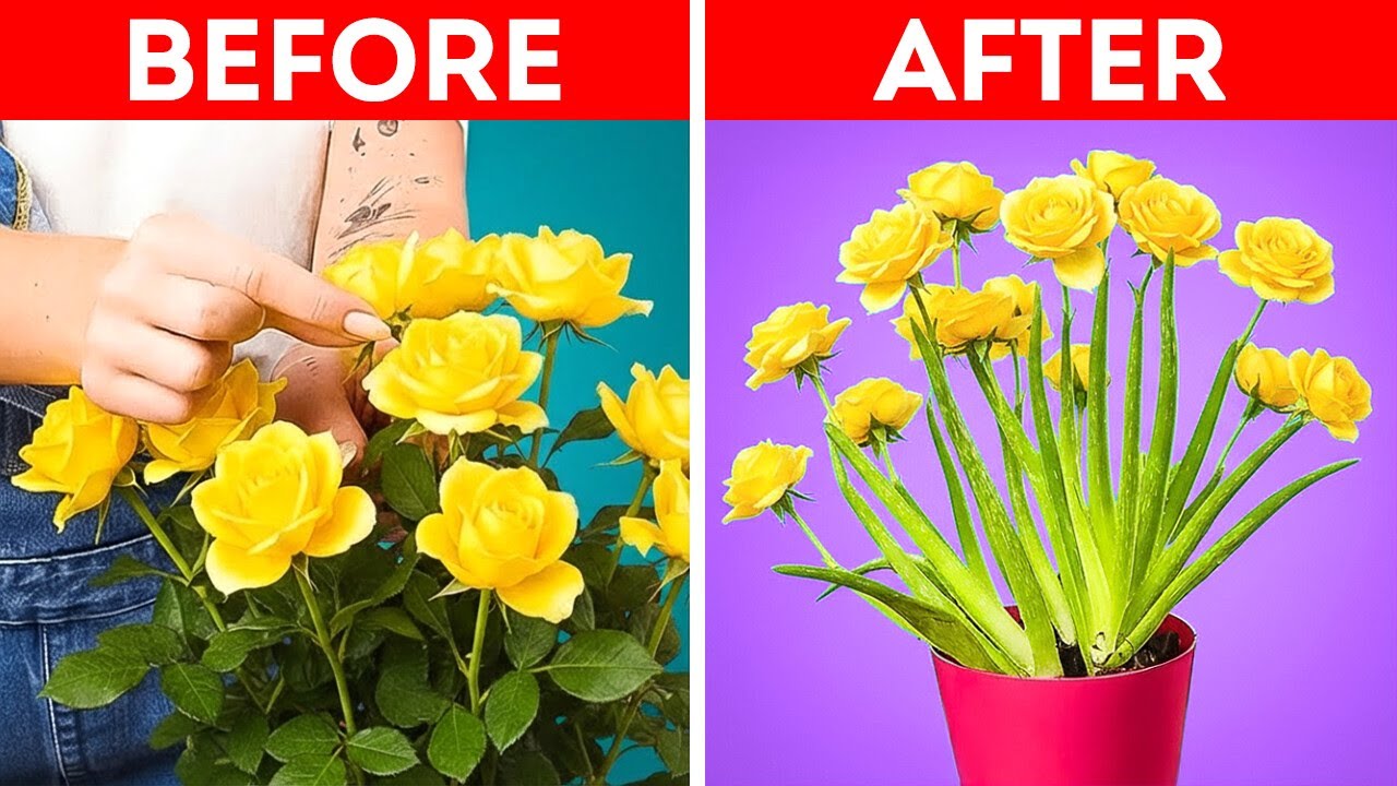 Grow Rare & Exotic Plants Without a Greenhouse 🌿